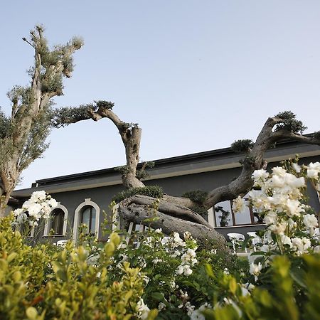 Terra Di Venera Villa Santa Venerina Exteriör bild